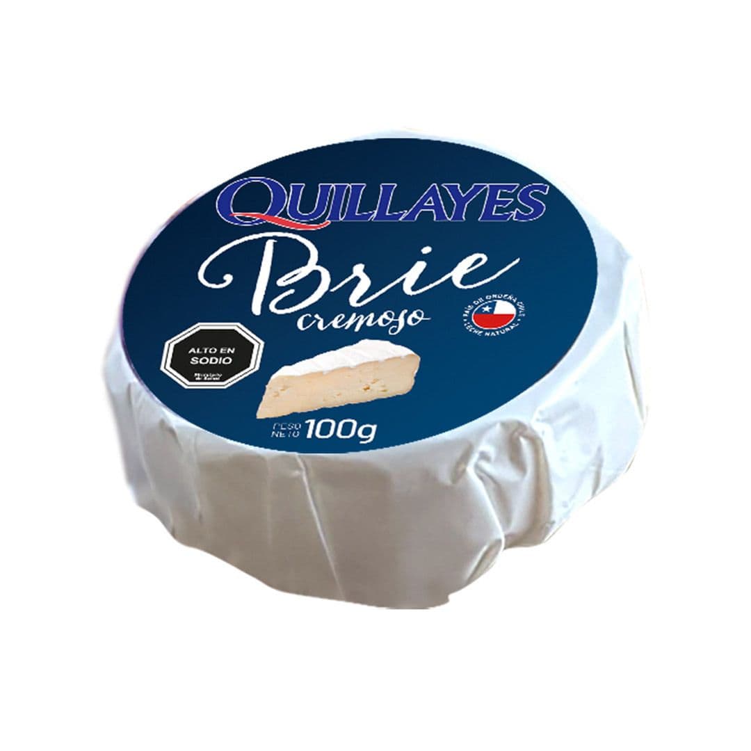 Queso Brie Quillayes 100 g_1