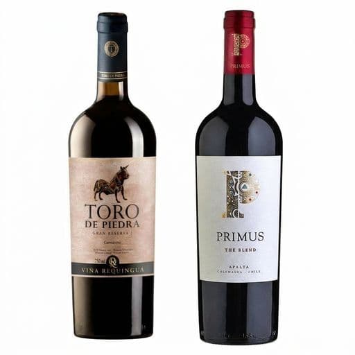DUO TORO DE PIEDRA - PRIMUS: 1x Vino Toro de Piedra Gran Reserva Carmenere 750cc + 1x Vino Primus The Blend Orgánico 750cc_1