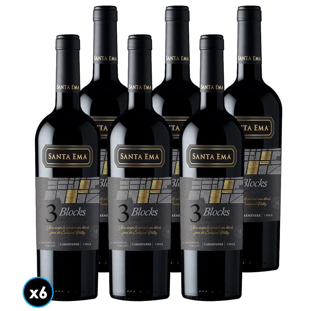 CAJA SANTA EMA 3 BLOCKS GR (Carmenere): 6x Vino Santa Ema 3 Blocks Gran Reserva Carmenere 750cc_1