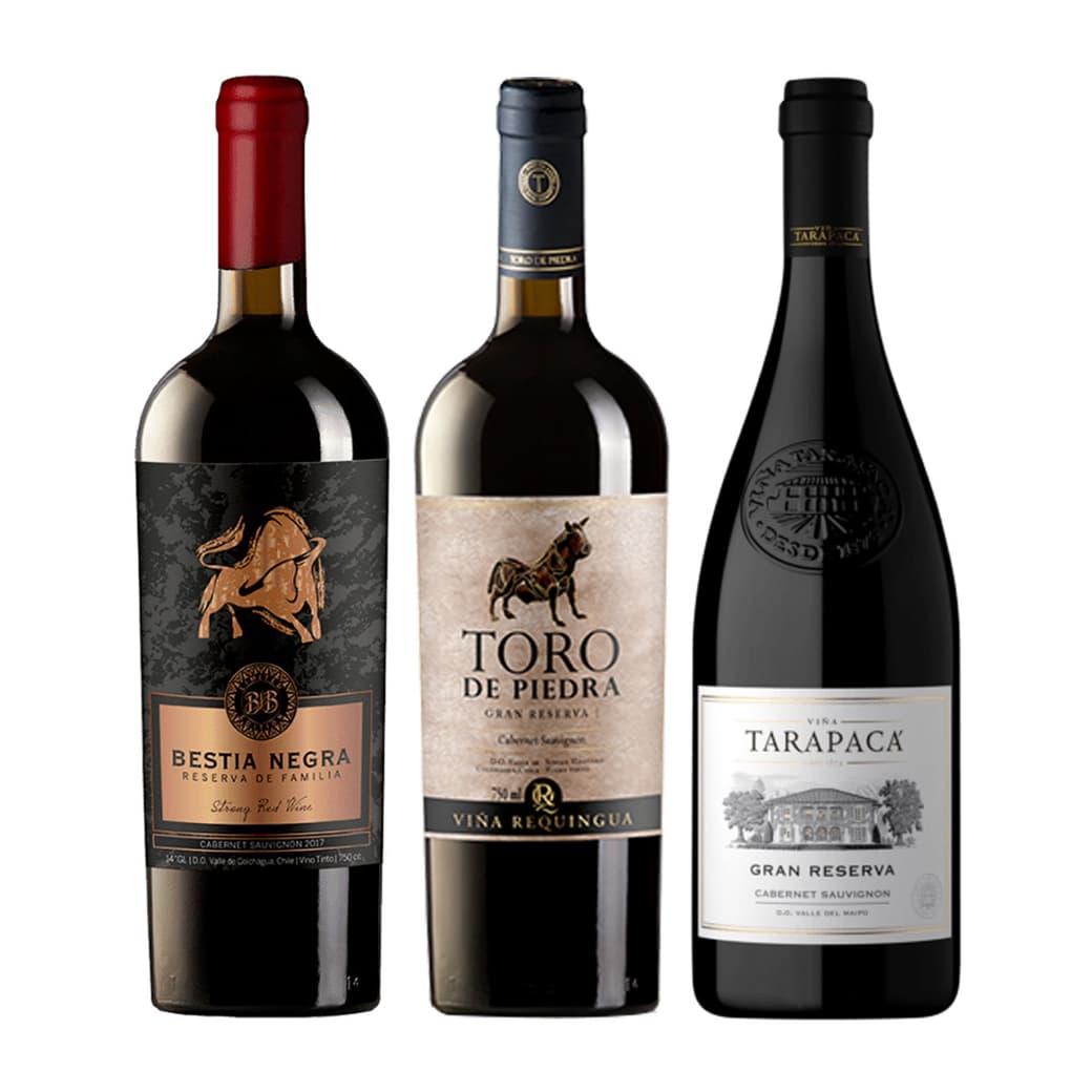 PACK GRAN RESERVA Nº10: Vino Bestia Negra Cabernet Sauvignon + Vino Toro de Piedra Cabernet Sauvignon + Vino Tarapacá Gran Reserva Cabernet Sauvignon_1
