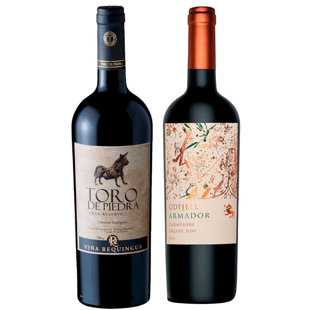 GRAN DUO TORO PIEDRA - ODFJELL ARMADOR: 1x Vino Odfjell Armador Carmenere 750cc + 1x Vino Toro de Piedra Cabernet Sauvignon 750cc_1